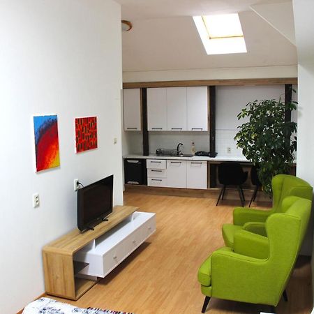 Krásny priestranný slnečný apartmán v centre mesta Trenčín Esterno foto