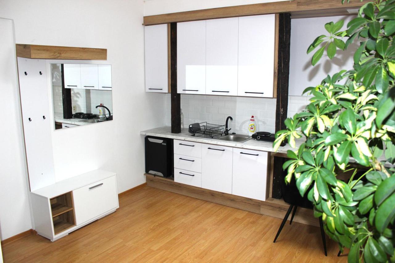 Krásny priestranný slnečný apartmán v centre mesta Trenčín Esterno foto