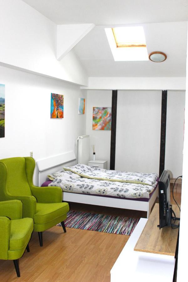 Krásny priestranný slnečný apartmán v centre mesta Trenčín Esterno foto