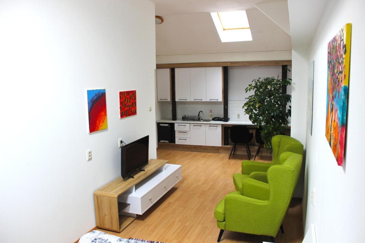 Krásny priestranný slnečný apartmán v centre mesta Trenčín Esterno foto